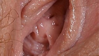 Female textures – Push my pink button (HD 1080p)(Vagina close up hairy sex pussy)(by rumesco)